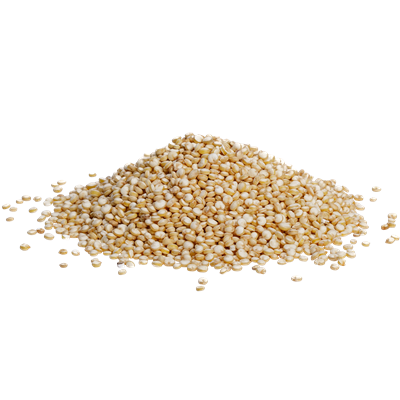 quinoa_91.png
