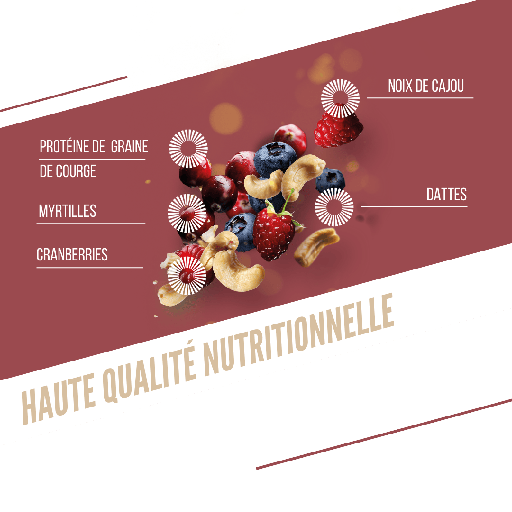 PROTÉINÉE / FRUITS ROUGES - CAJOU