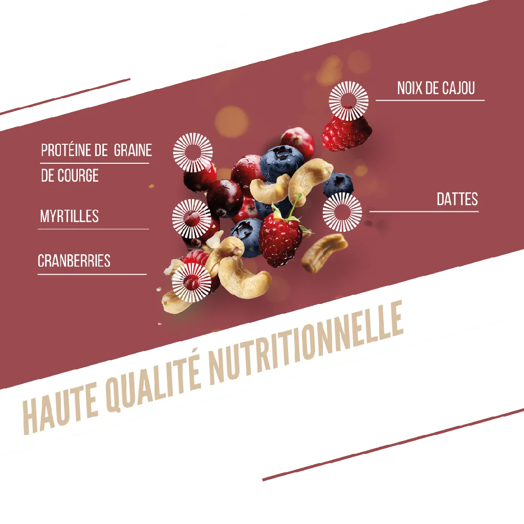 PROTÉINÉE / FRUITS ROUGES - CAJOU