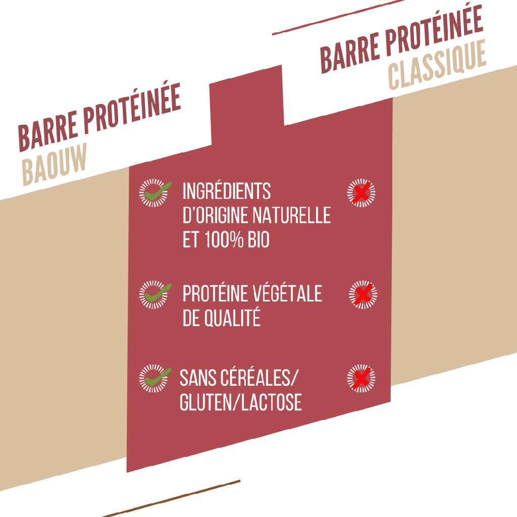 PROTÉINÉE / FRUITS ROUGES - CAJOU