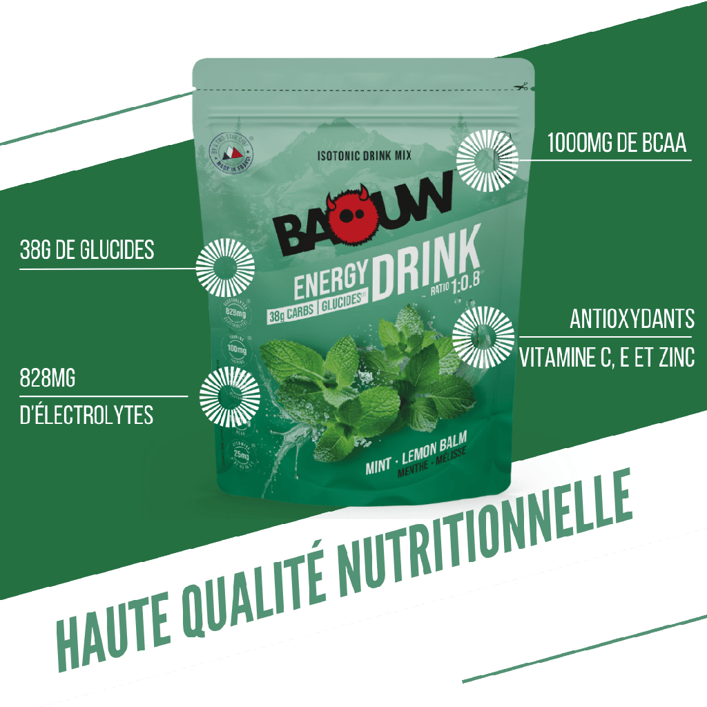 Menthe - Mélisse 585g