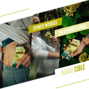 Citron - Yuzu4.webp
