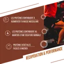 visuel secondaire Barres prot caramel2.webp
