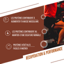 visuel secondaire Barres prot caramel2.webp